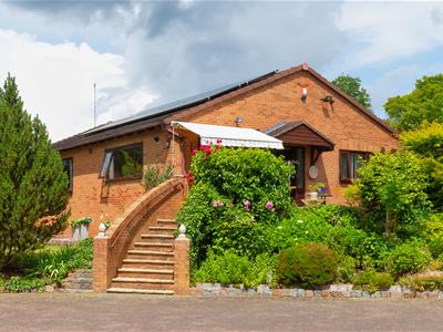 Picture 37
